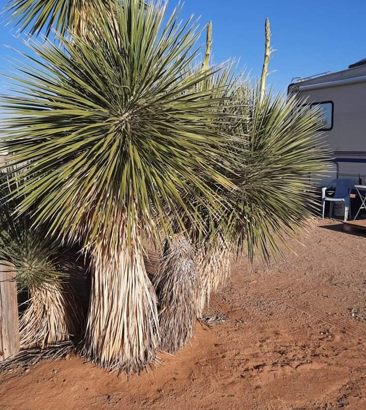 Mountain View RV Park