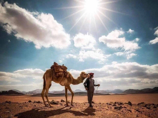 Make My Trip Easy-亚喀巴必去景点