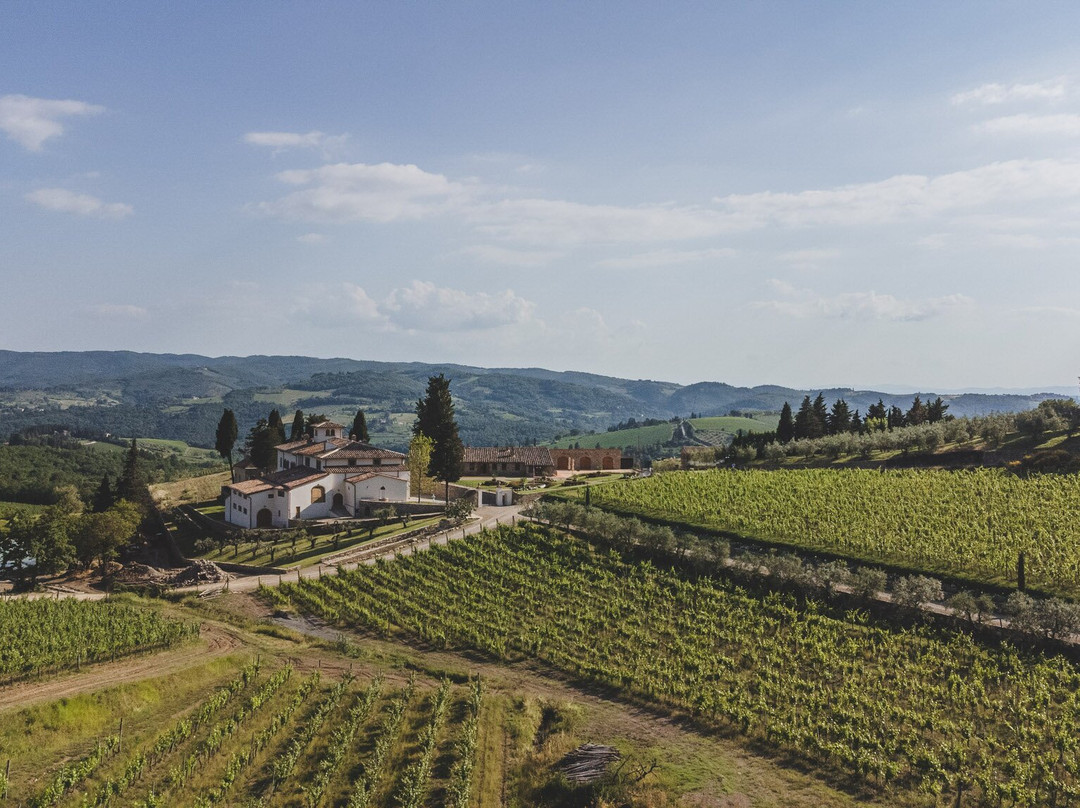 Tenuta Casenuove Winery景点图片