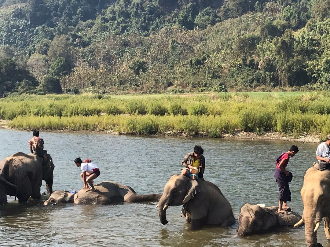 Talalnal Elephant Camp景点图片