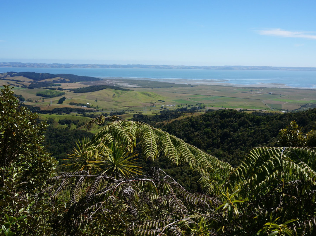 Mount Auckland Atuanui Walkway景点图片