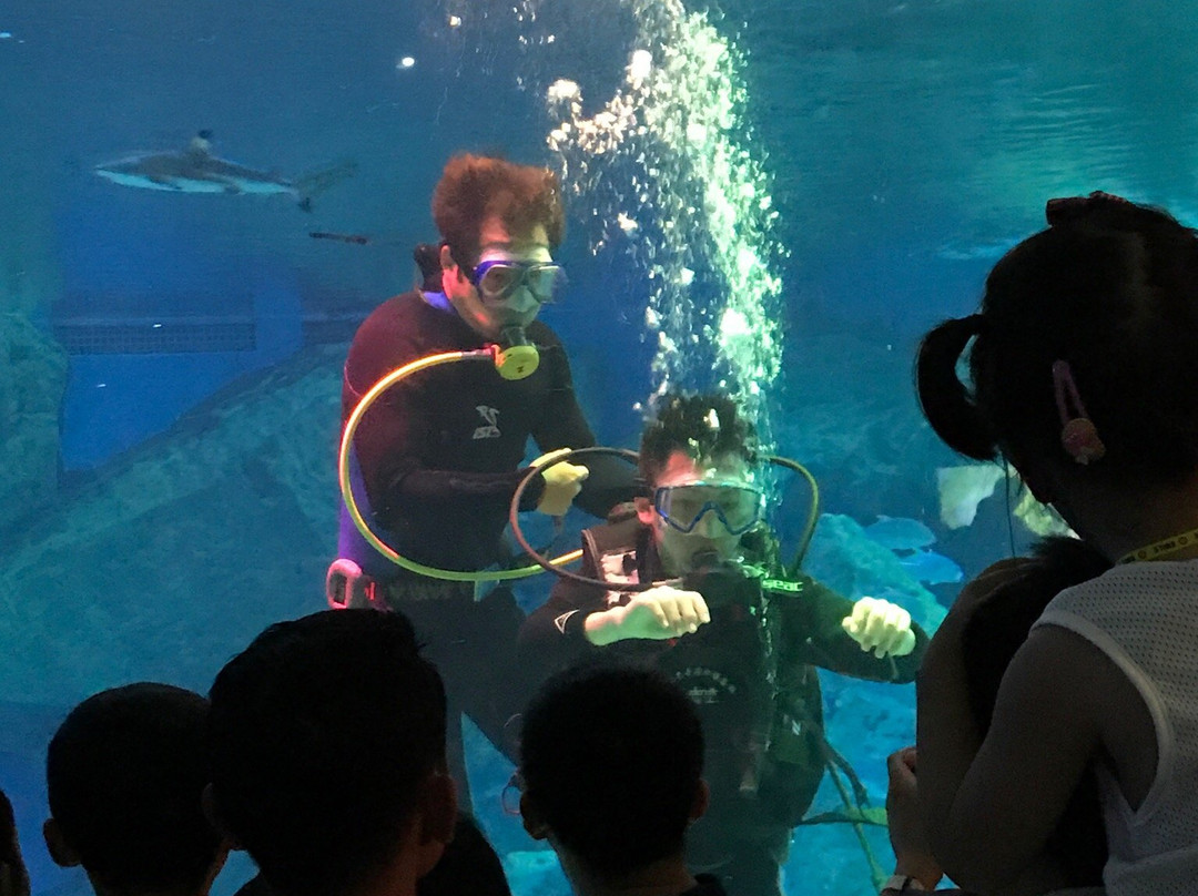 仁寿县旅游景点-海昌极地海洋世界景区