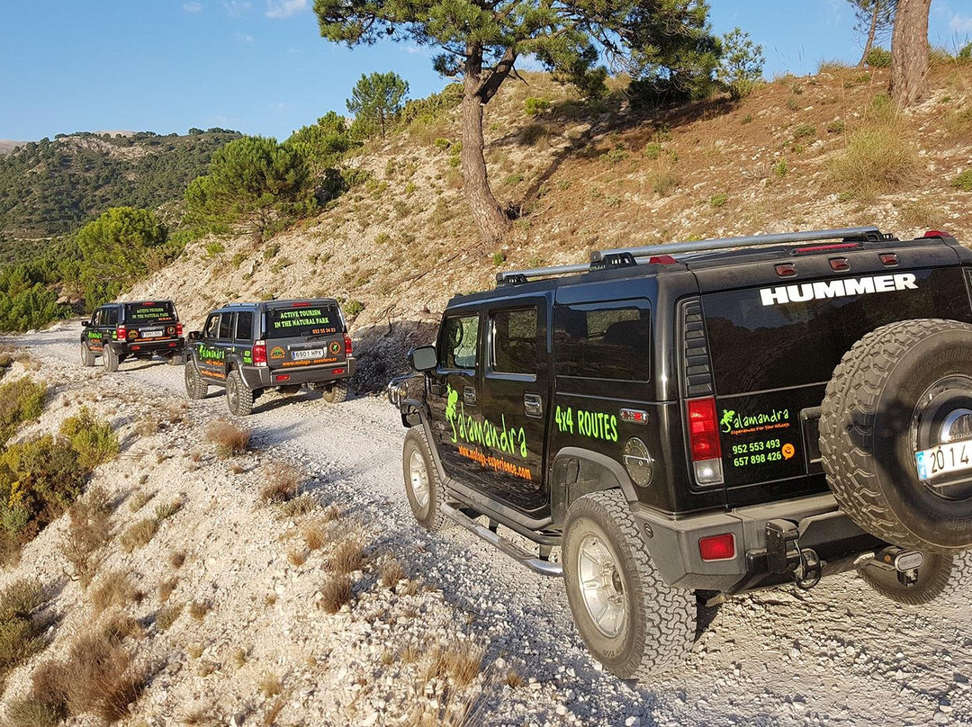 Hummer Experience Salamandra景点图片