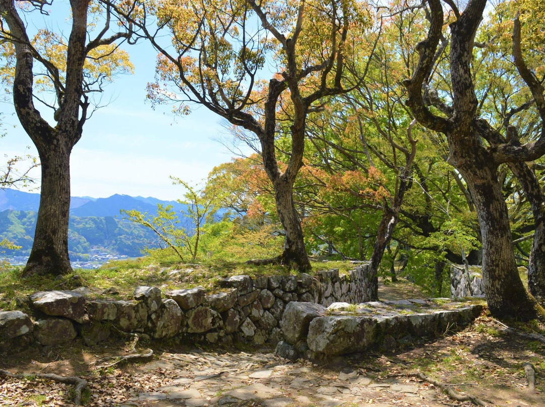 Mt. Shiroyama景点图片