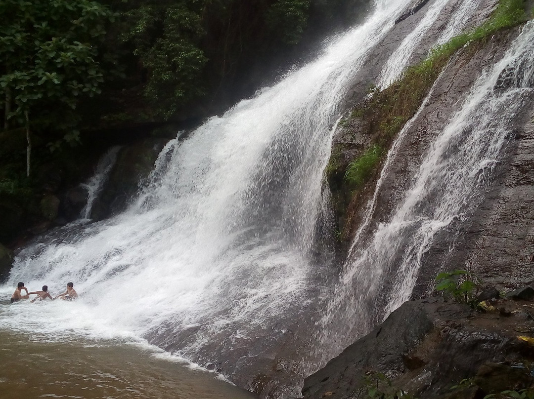 Areekkal Water Falls景点图片