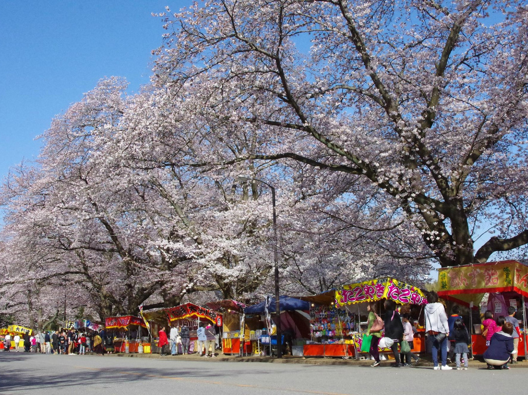 Kobayashi Farm-印西市必去景点