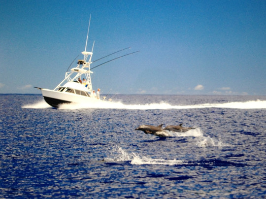 Live Bait Sport Fishing