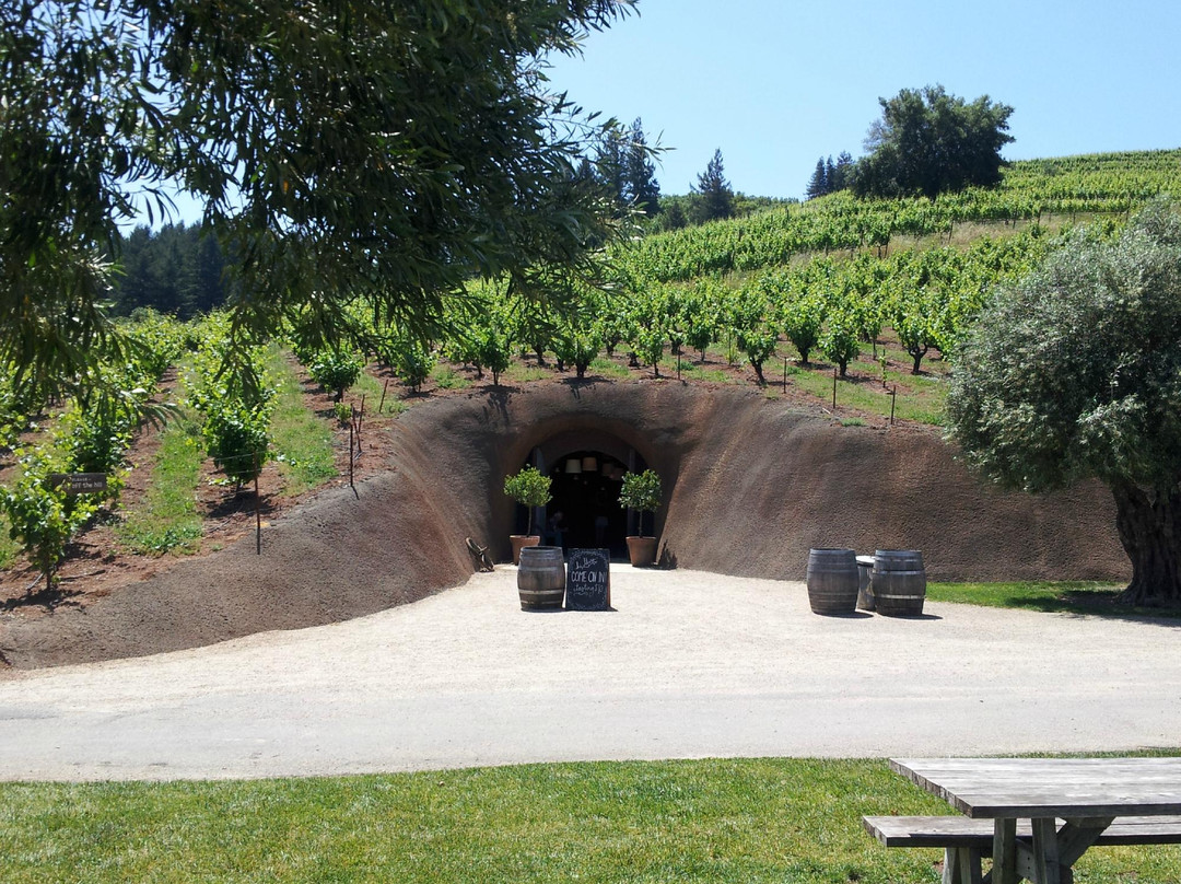 Bella Vineyards and Wine Caves景点图片
