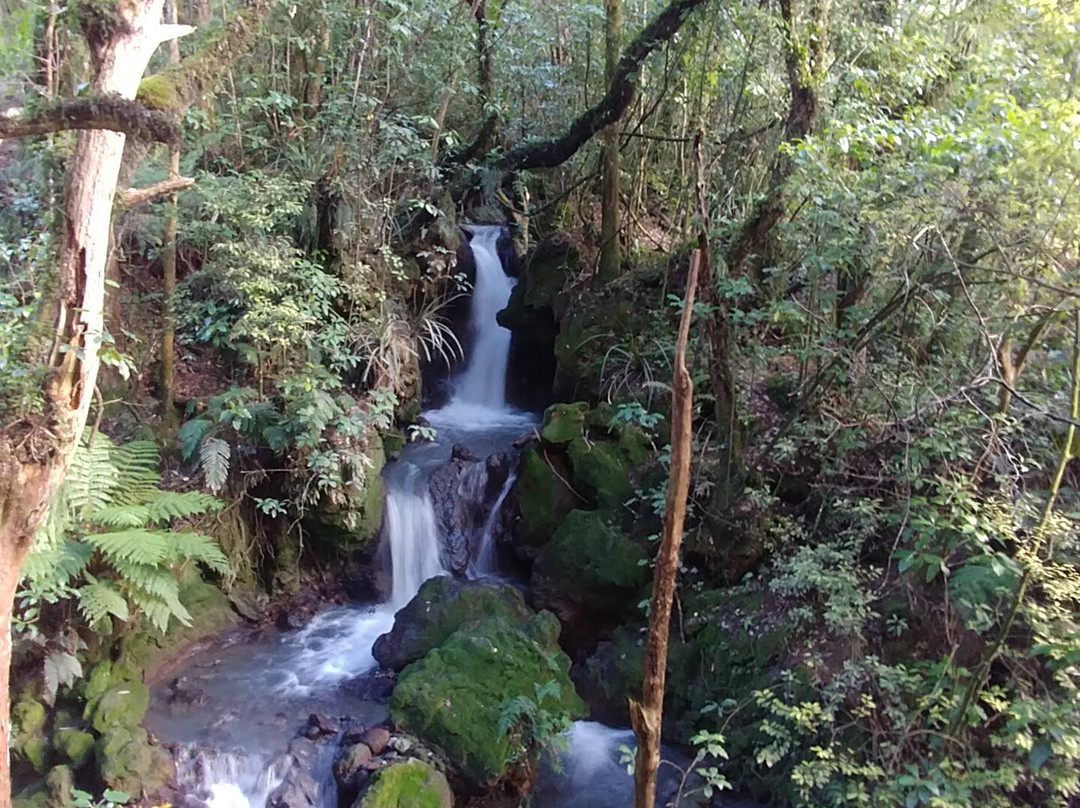 Ketetahi Falls景点图片