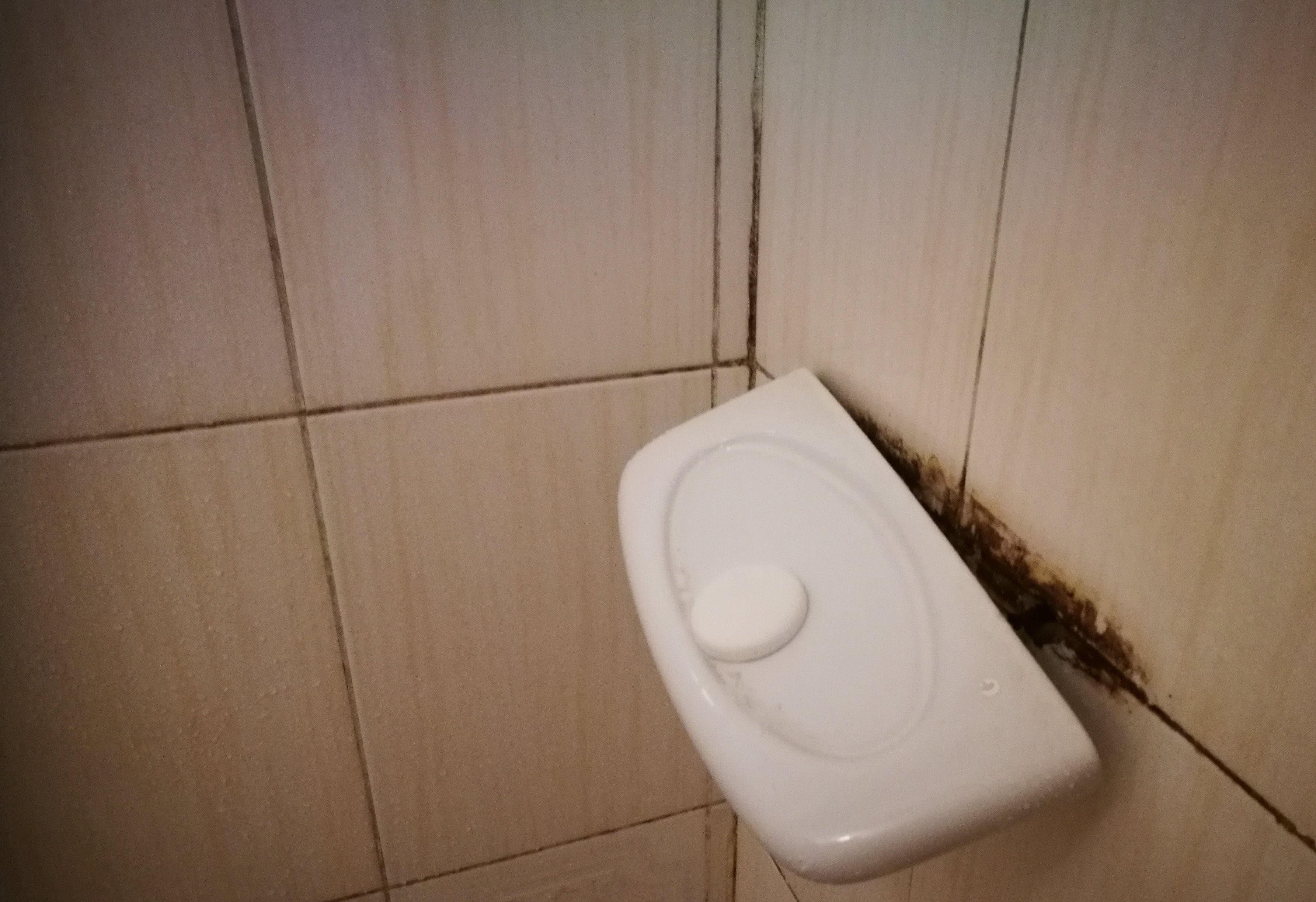 Comfy Inn Eldoret-浴室
