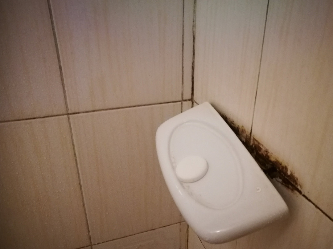 Comfy Inn Eldoret主图