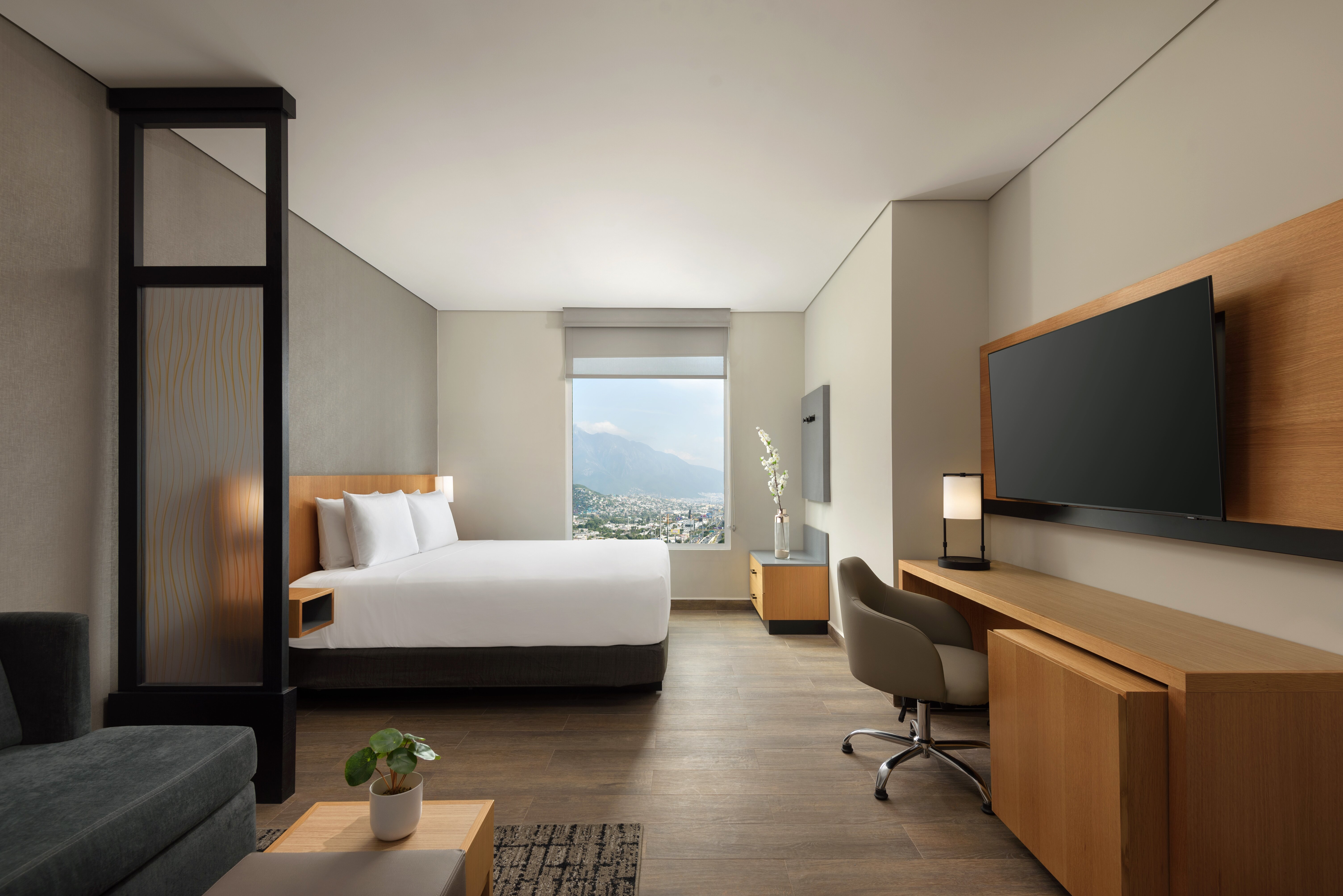 Hyatt Place Monterrey Valle-客卧