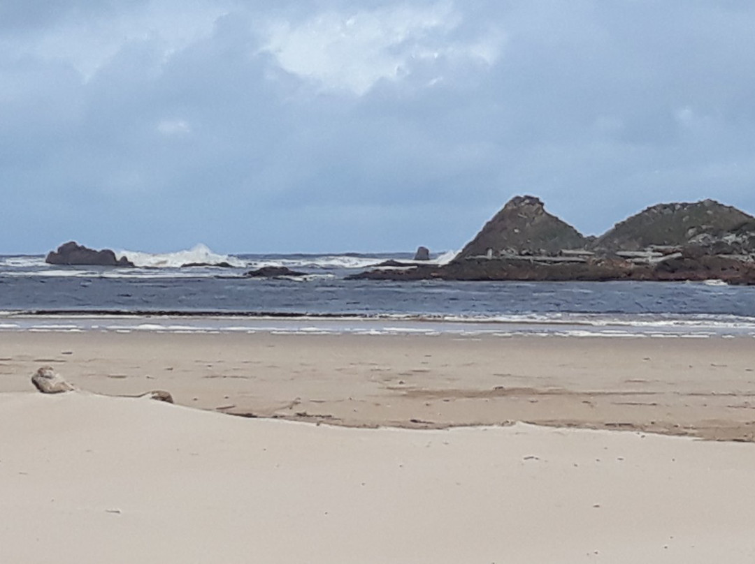 Pieman River Cruise-Corinna必去景点