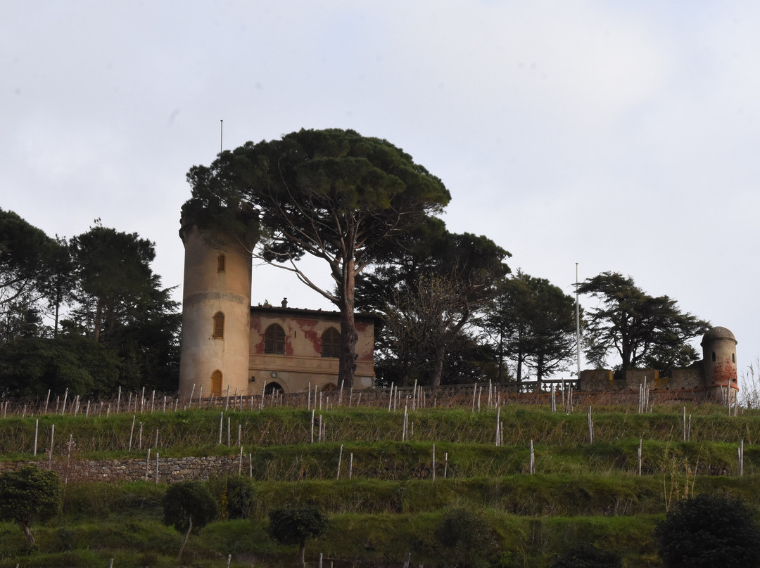 Chiesa di Santa Croce e Oratorio dei Disciplinanti景点图片