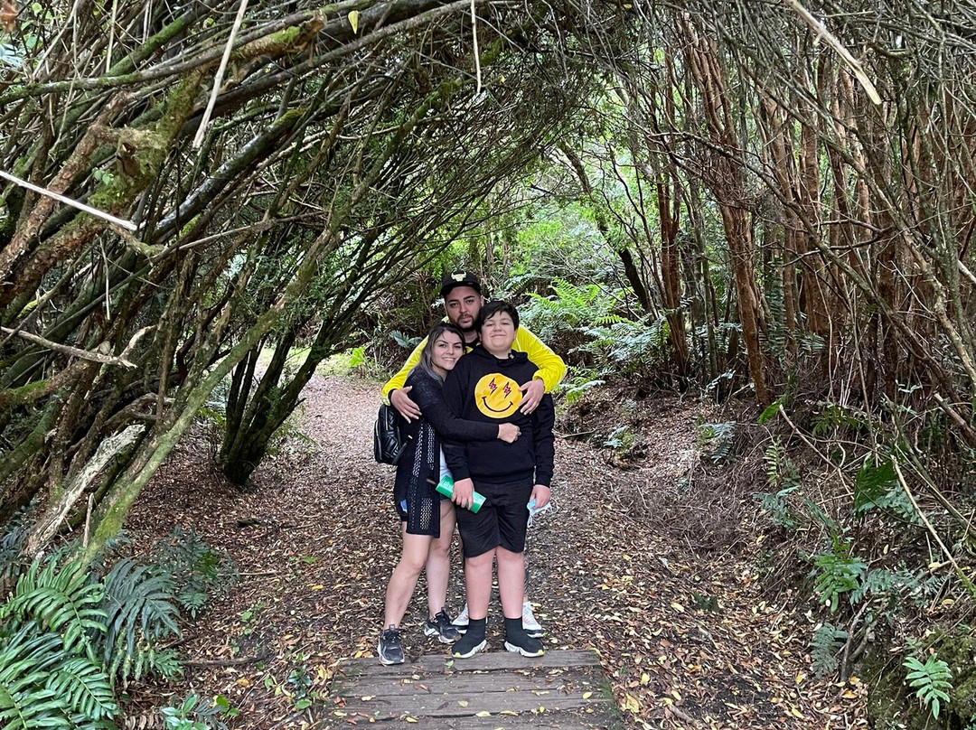 Parque Nacional Chiloé-奇洛埃岛必去景点