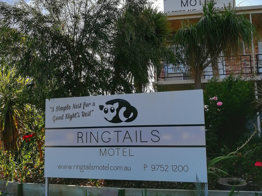 Ringtails Motel主图