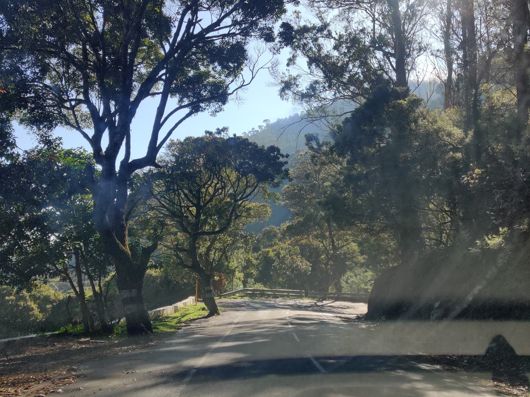 Kodanad View Point-Kotagiri必去景点