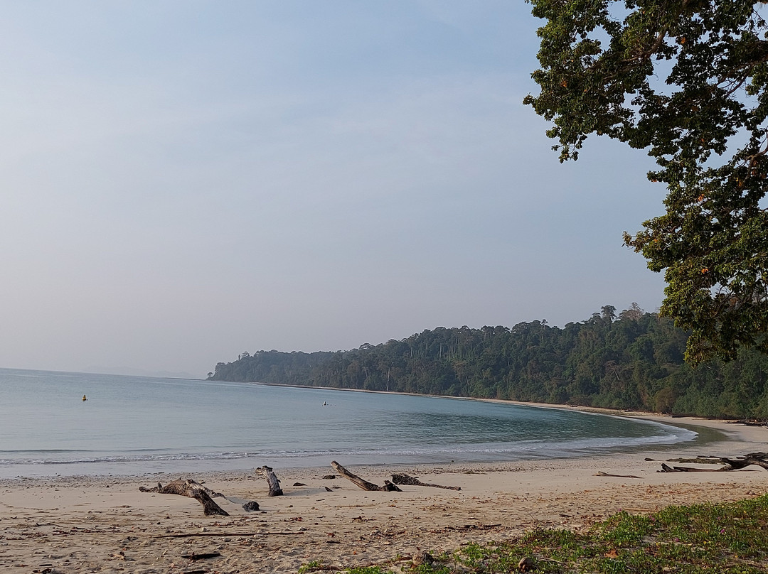 Lalaji Bay Beach-Long Island必去景点