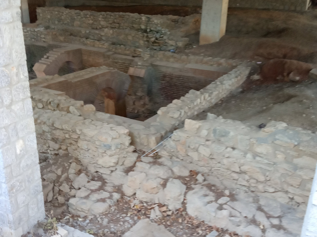Early Christian Basilica-奥赫里德必去景点