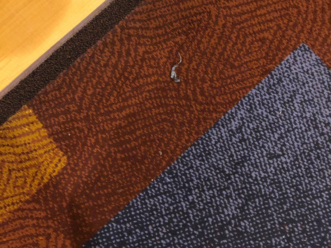 费尔菲尔德客栈及万豪图斯顶奥兰治乡村酒店主图