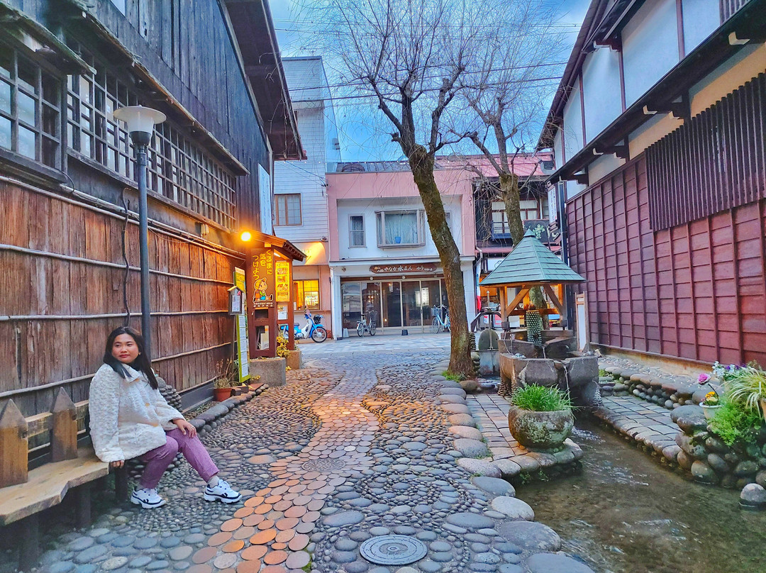 Yanaka Mizu no Komichi-郡上市必去景点