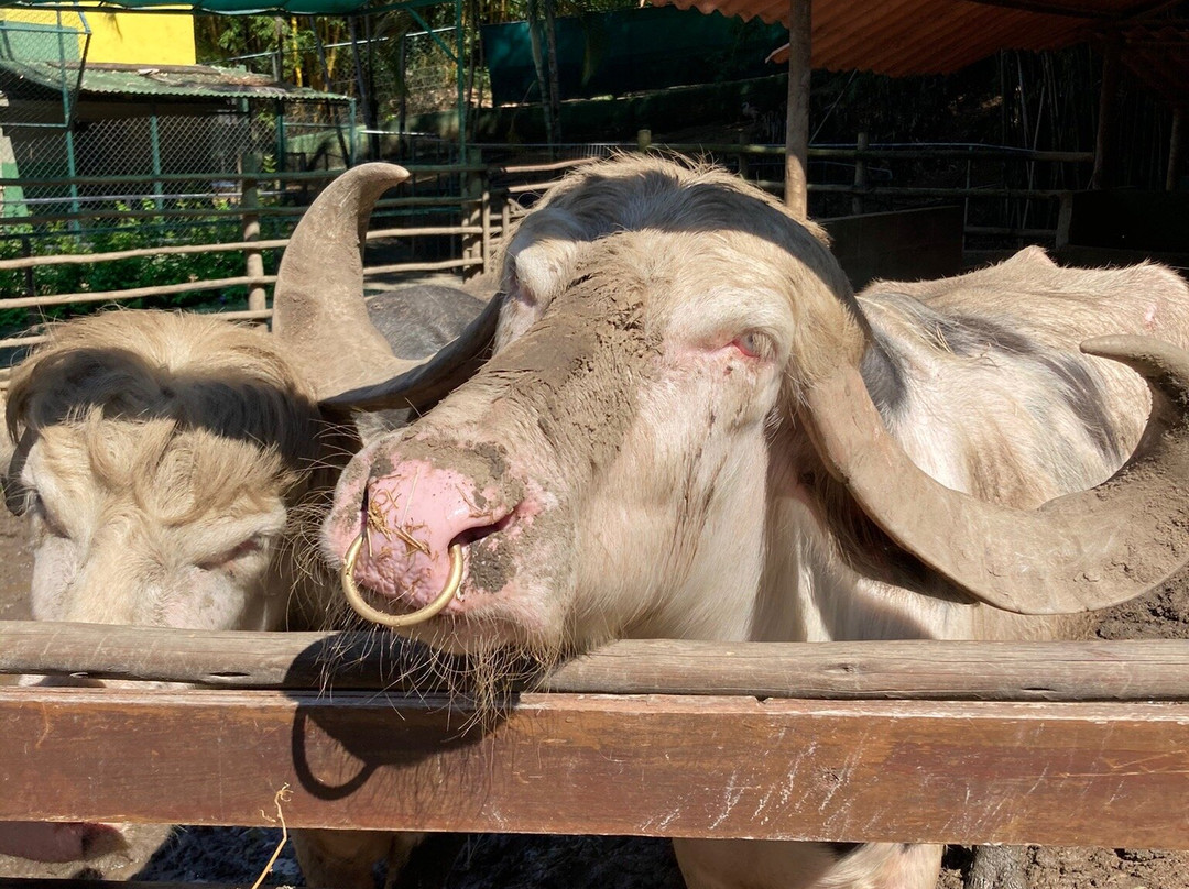 Arca do Noah - Educacao Ambiental-Guaratiba必去景点
