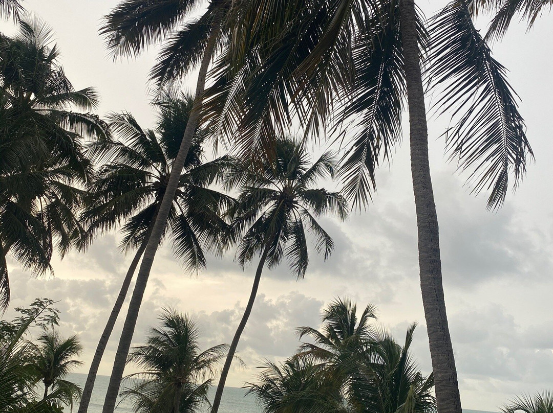 Praia Icarai de Amontada景点图片