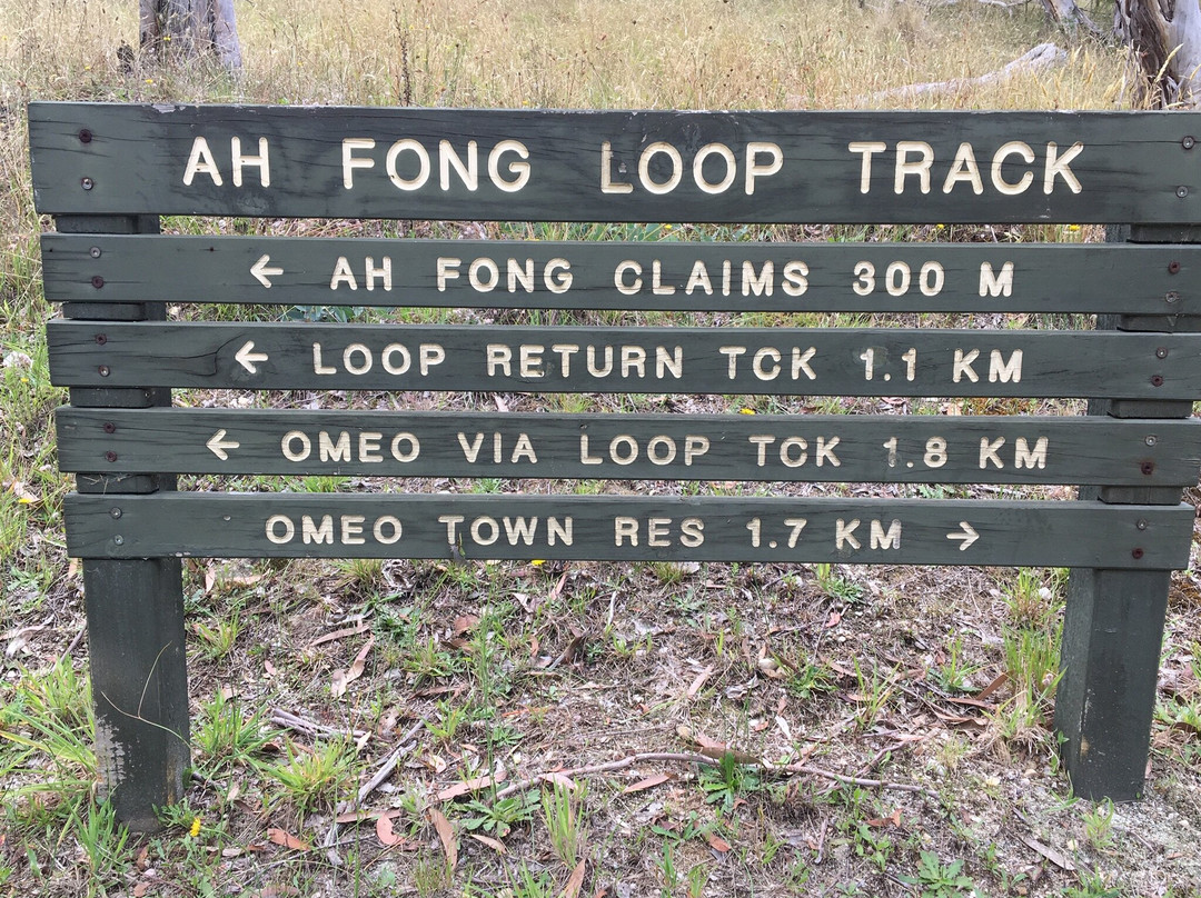 Oriental Claims Historic Area-Omeo必去景点