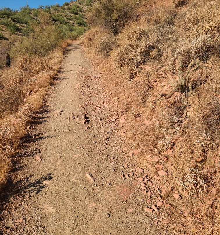 Cave Creek Regional Park-洞溪必去景点