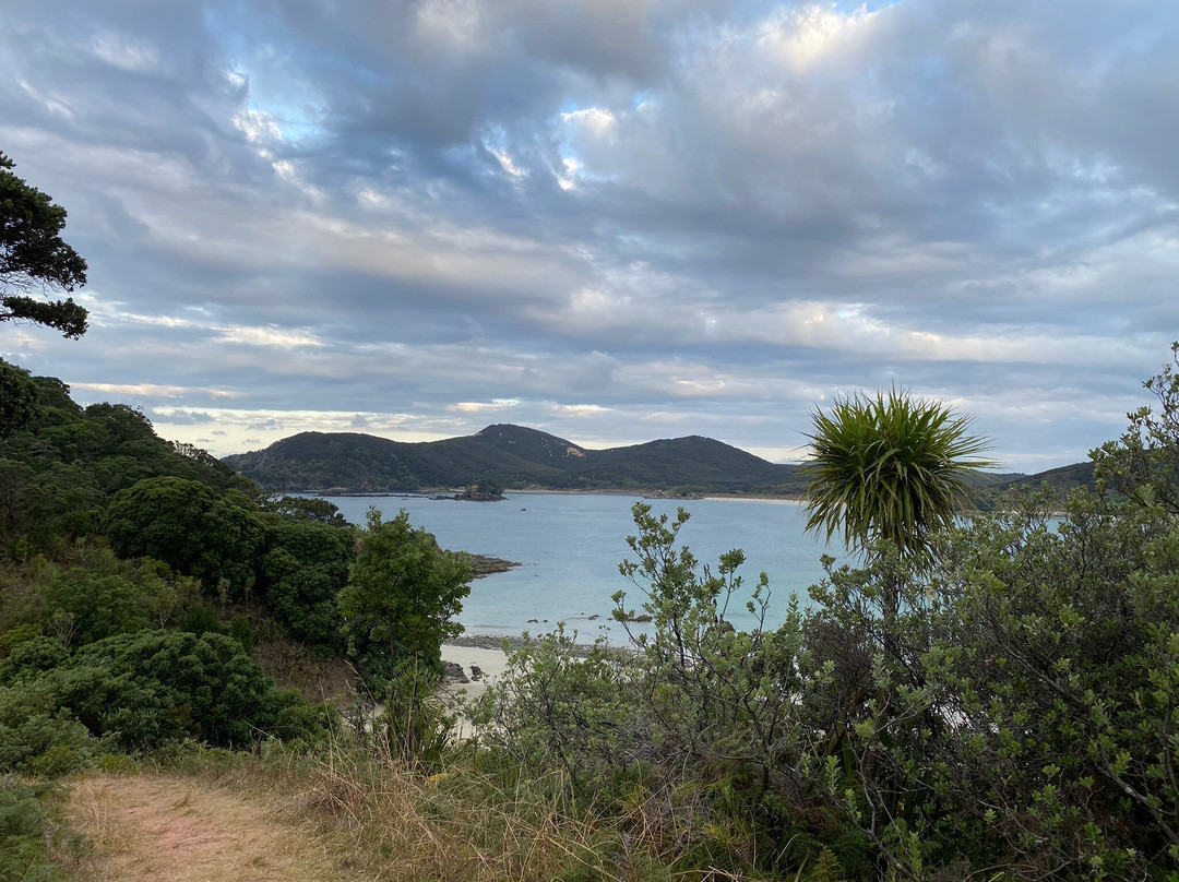 Matai Bay-Karikari Peninsula必去景点
