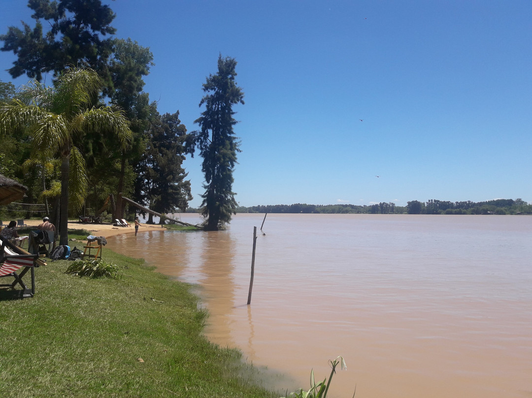 Solar del Delta主图