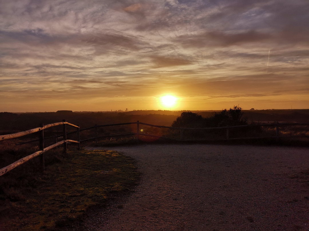 Nationaal Park Zuid Kennemerland-Overveen必去景点