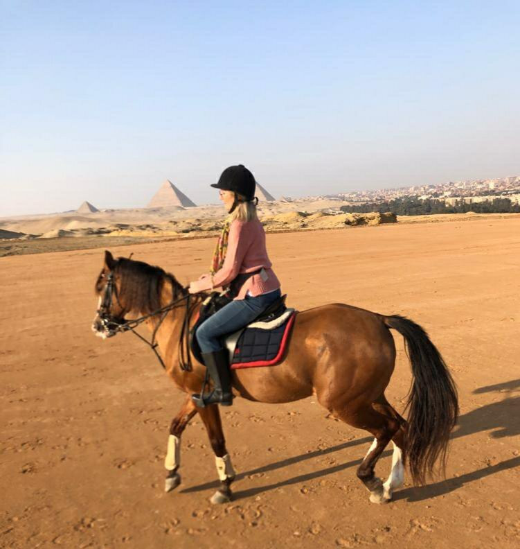 Happy Horse Holidays-开罗必去景点