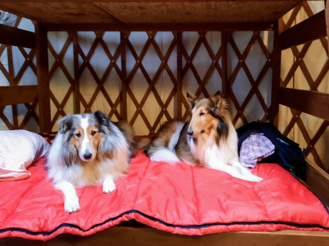 贝斯特韦斯特大庄园酒店主图