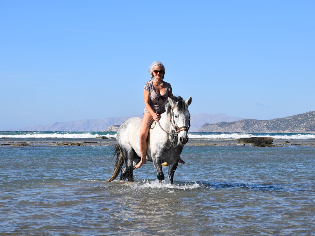 A&E Elpida Ranch-罗德城必去景点