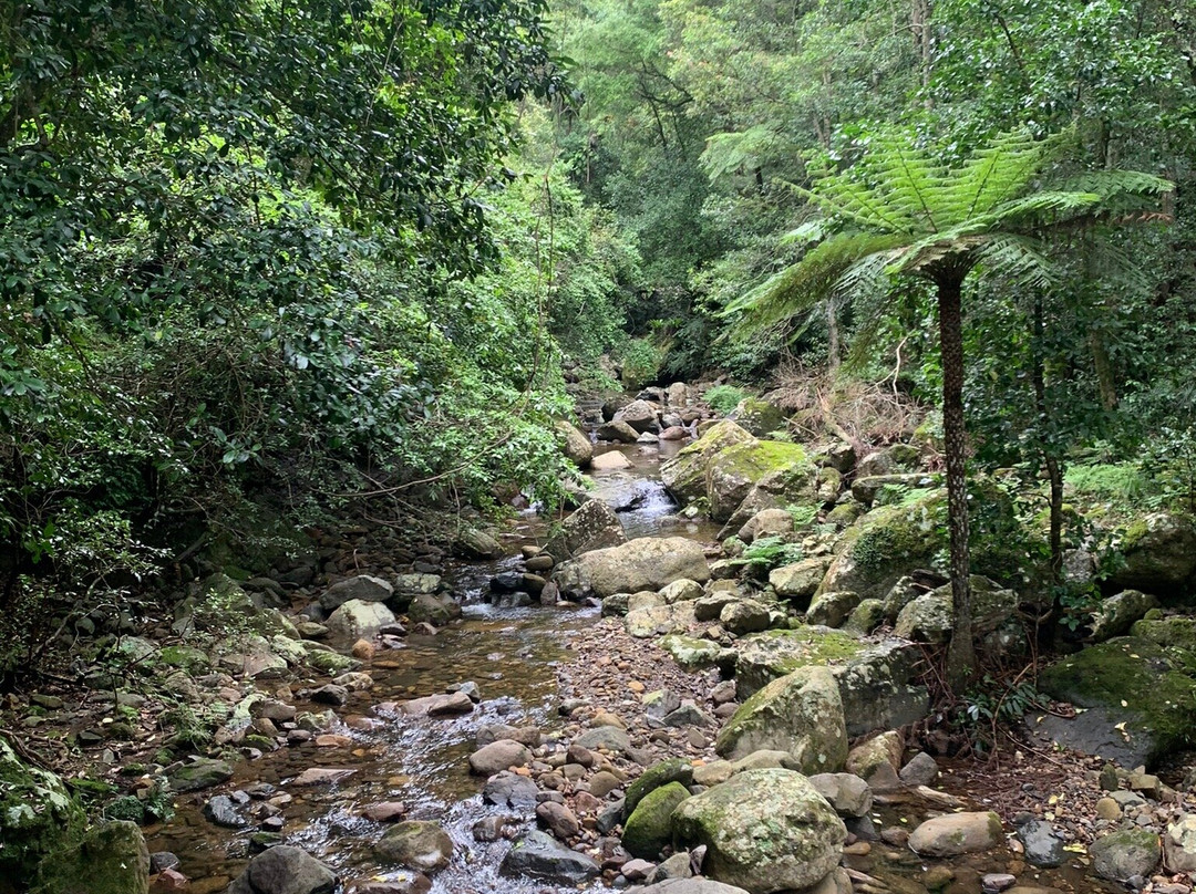 Minnamurra Falls景点图片
