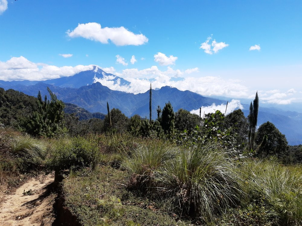 Posada Margaritas主图