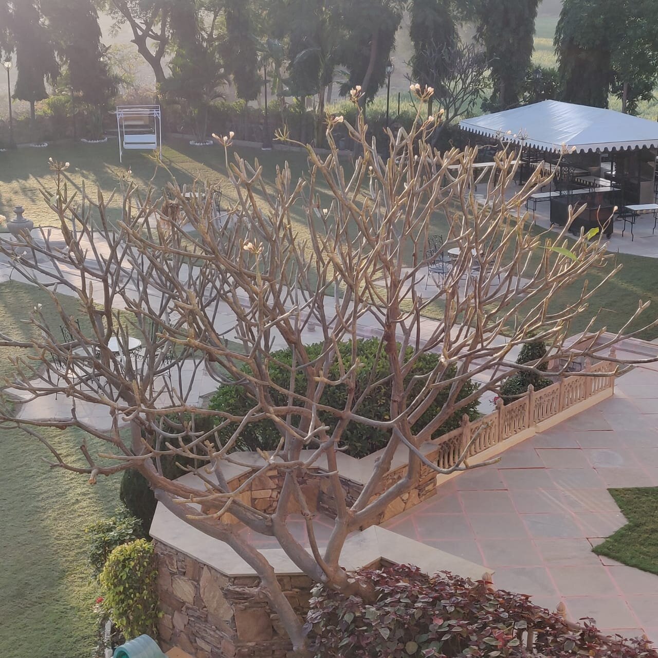 Fateh Bagh, Ranakpur-酒店景观