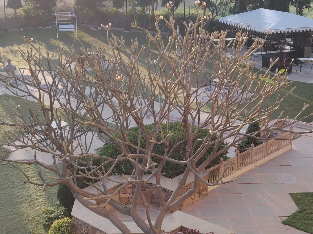 Fateh Bagh, Ranakpur主图