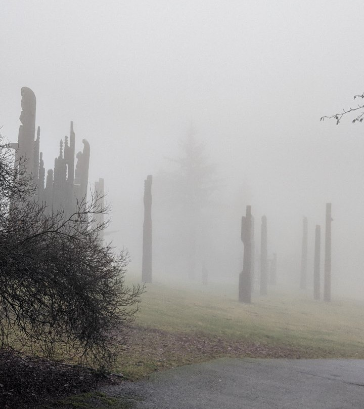 Burnaby Mountain Park-本那比必去景点