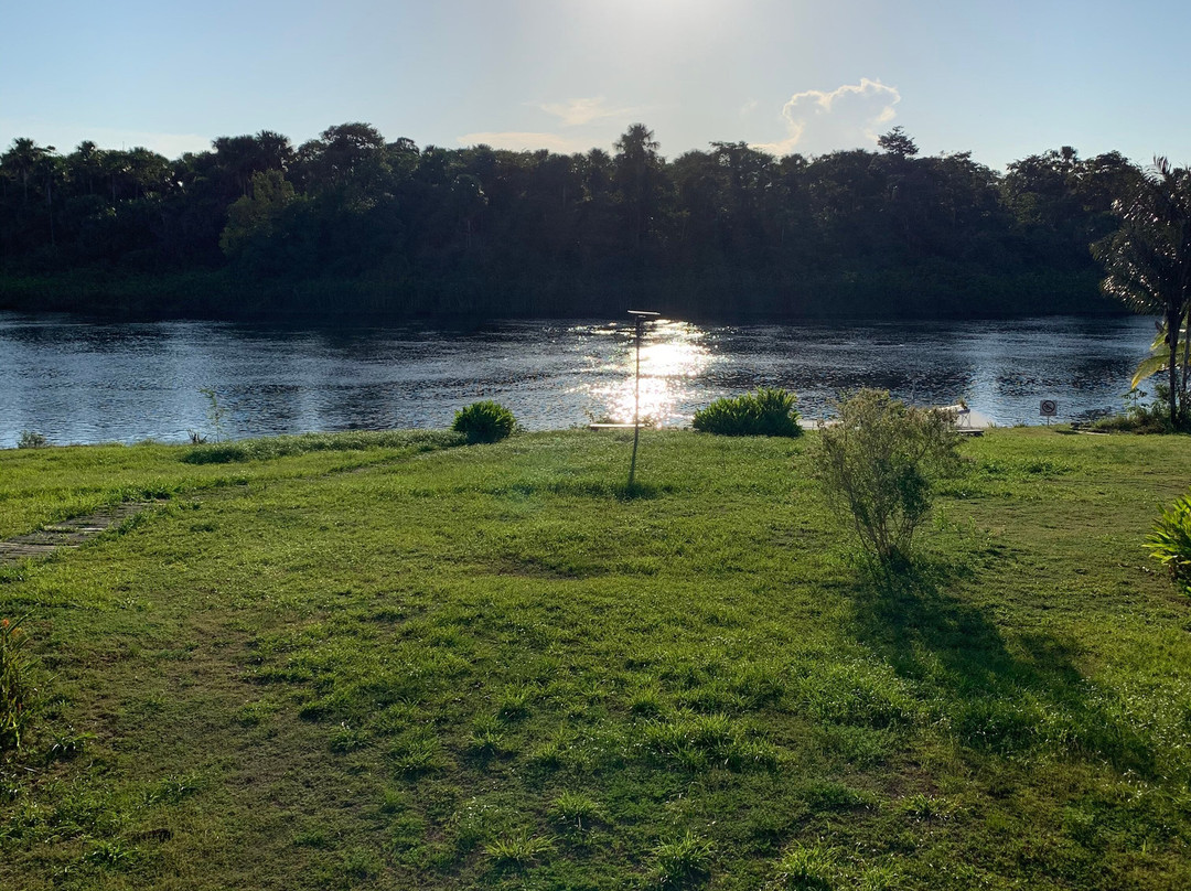 L'oiseau de Paradis主图