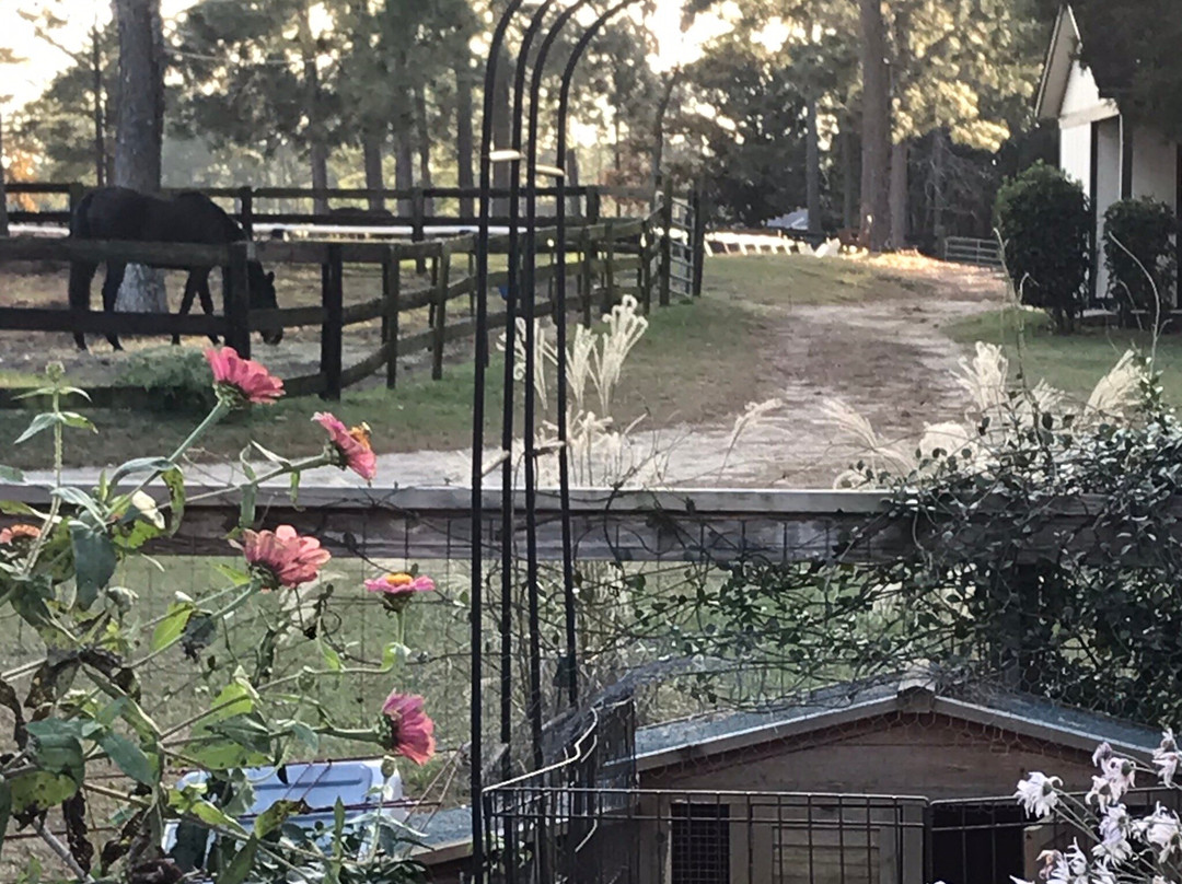 Tanglewood Farm Bed & Breakfast主图