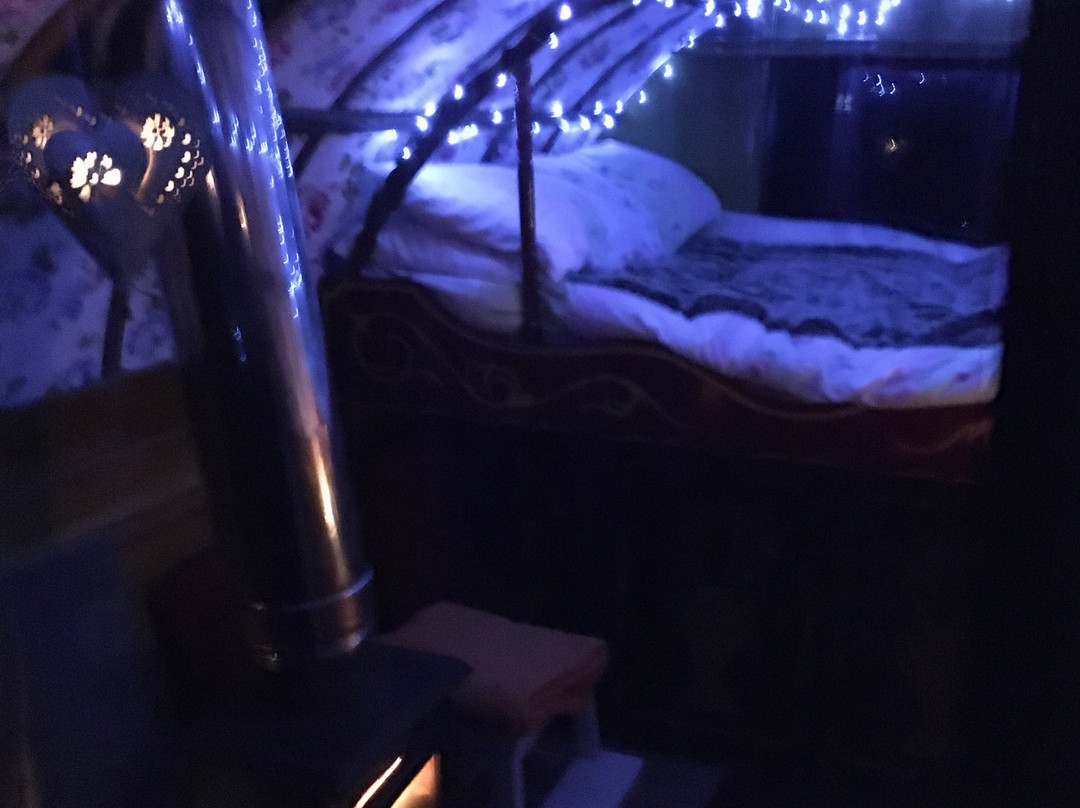 The Blue House Bed and Breakfast主图