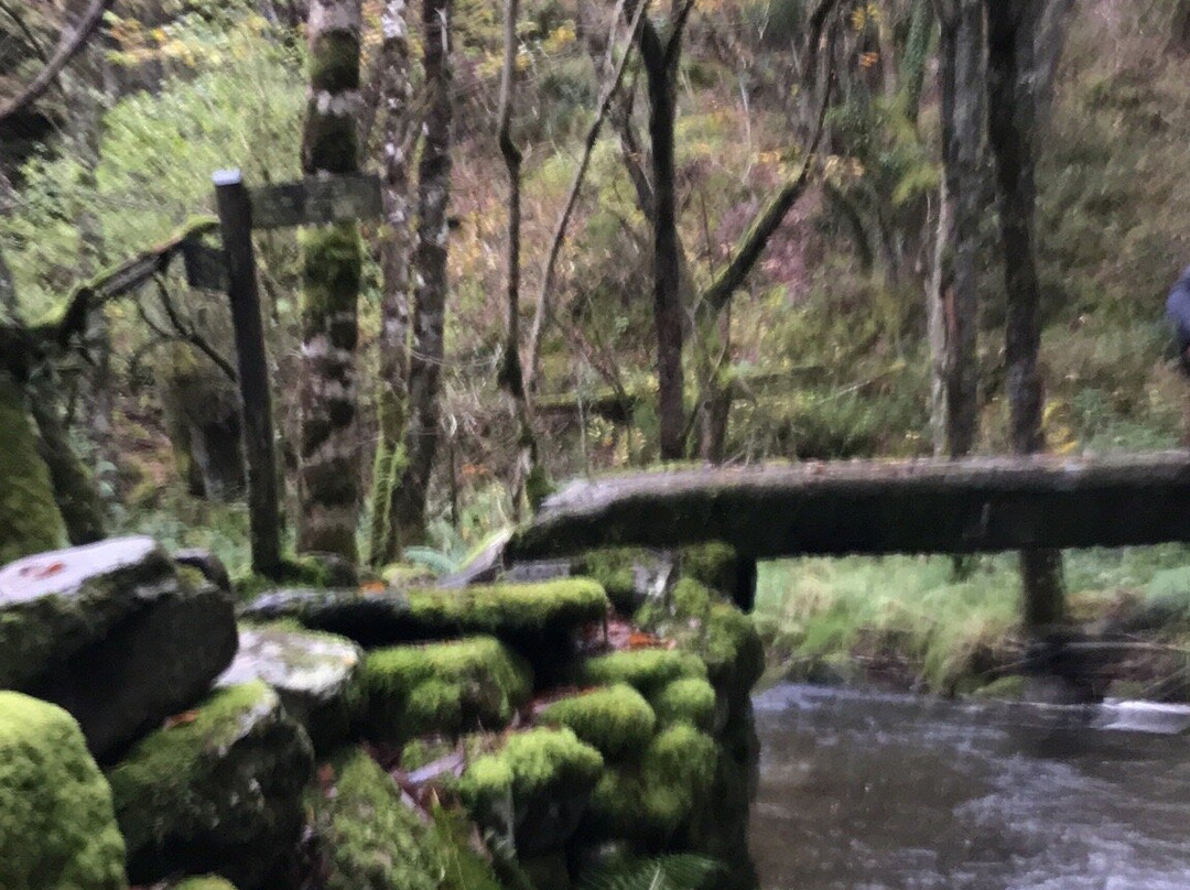 Cascada de Seimeira景点图片
