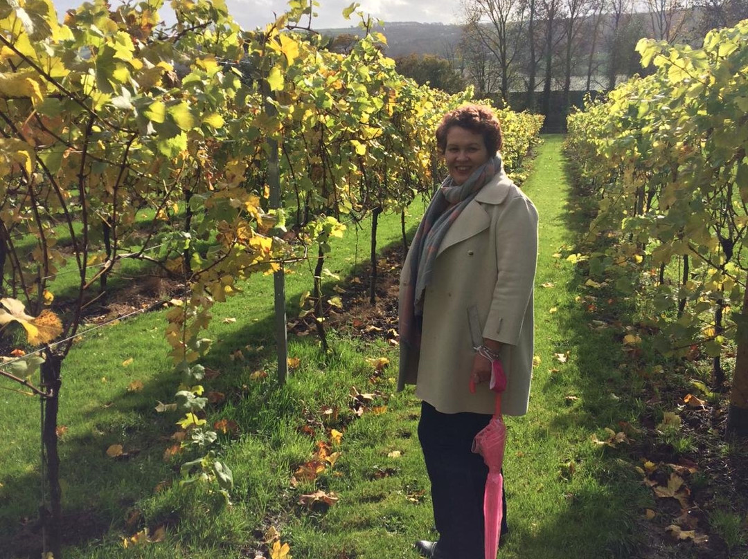 Aldwick Estate-Redhill必去景点