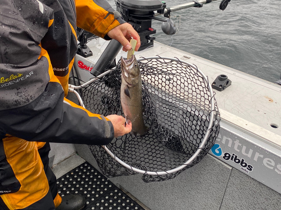 Reel Adventures Sportfishing景点图片