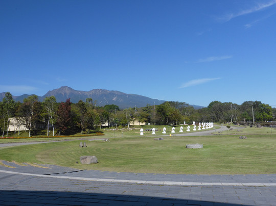 Vegetable With-南牧村必去景点