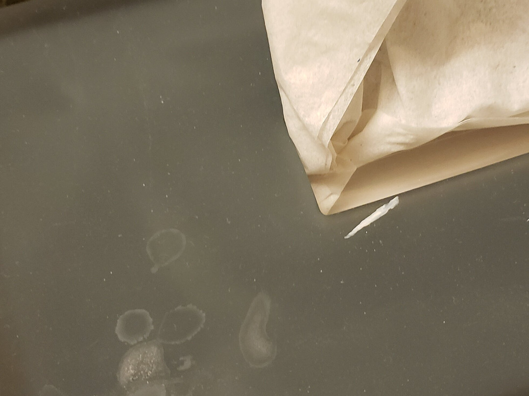 贝尔格莱德/博兹曼机场拉昆塔套房酒店主图