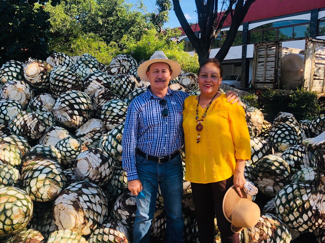 Destiladora La Rienda-特基拉必去景点