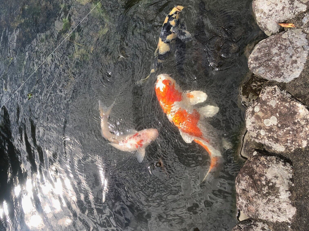 Enshoji Temple (Emadera Temple)-入间市必去景点